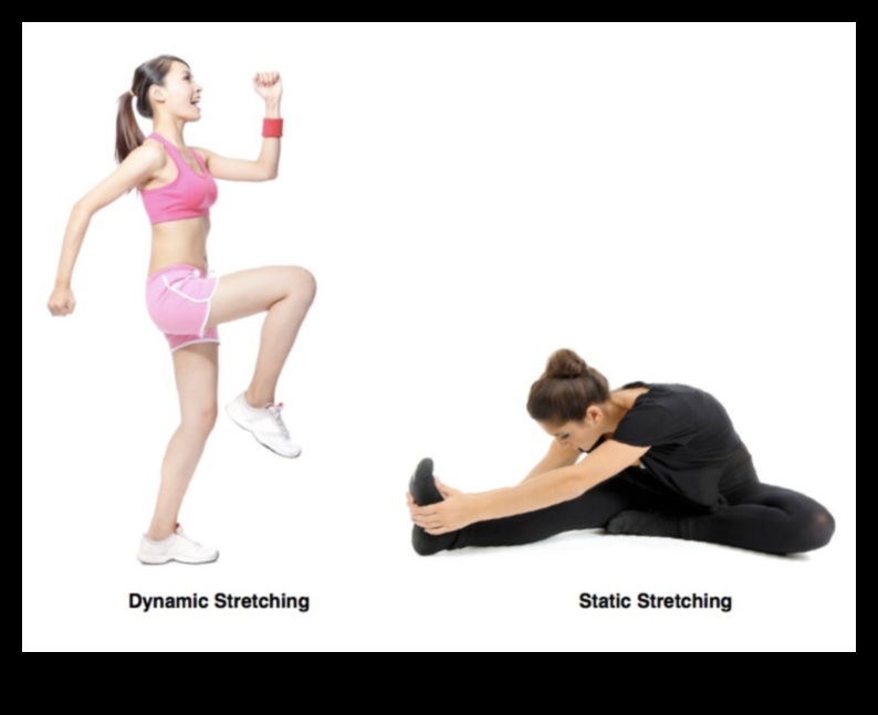 Dynamic Stretching Dynamics: Explorarea varietăților pentru succes